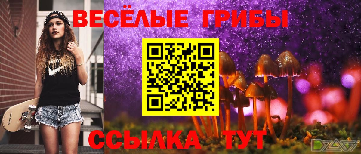 Псилоцибиновые грибы Psilocybine cubensis Старая Купавна